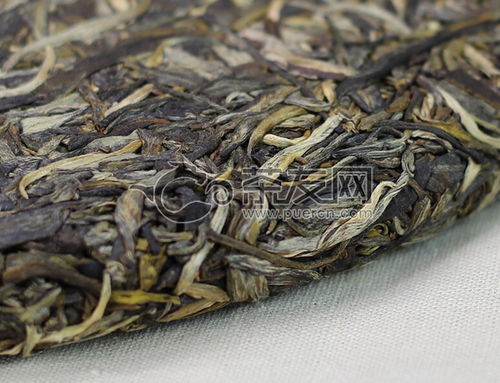 2015年老同志食品安全年會禮品茶生茶1000克評測 品質、價格與茶友反饋